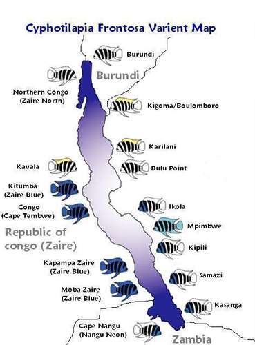frontosa-collection-points-map