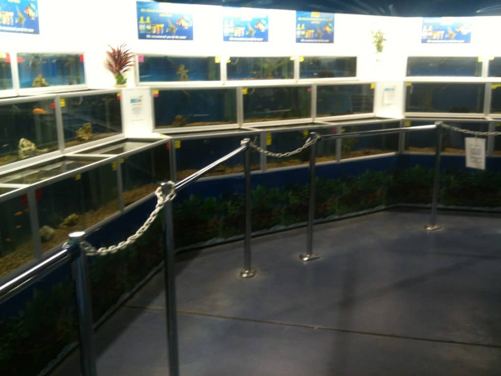 Tong Garden Centre Fish Store Review Tropical Fish Site