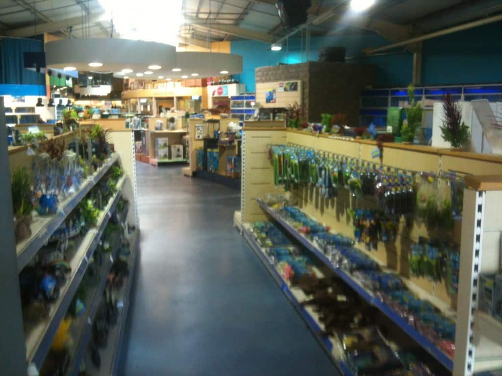 Tong Garden Centre Fish Store Review Tropical Fish Site