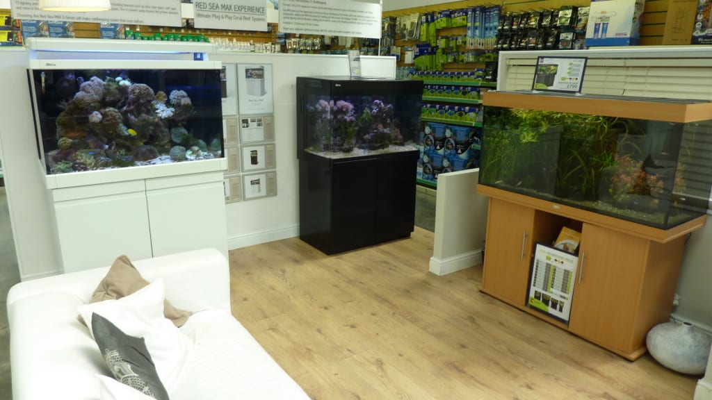 Southampton Aquajardin Tropical Fish Store Review Tropical Fish Site