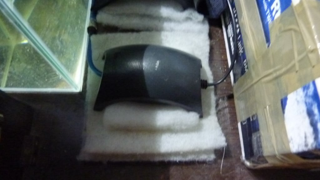 How To Set Up A Hospital Quarantine Fish Tank Tropical Fish Site