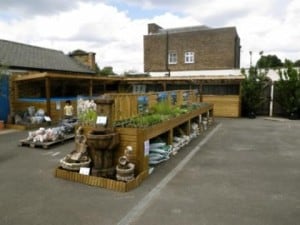 Syon Park Maidenhead Aquatics Fish Store Review | Tropical Fish Site