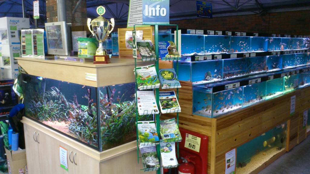 Nottingham Maidenhead Aquatics Fish Store Review Tropical Fish Site