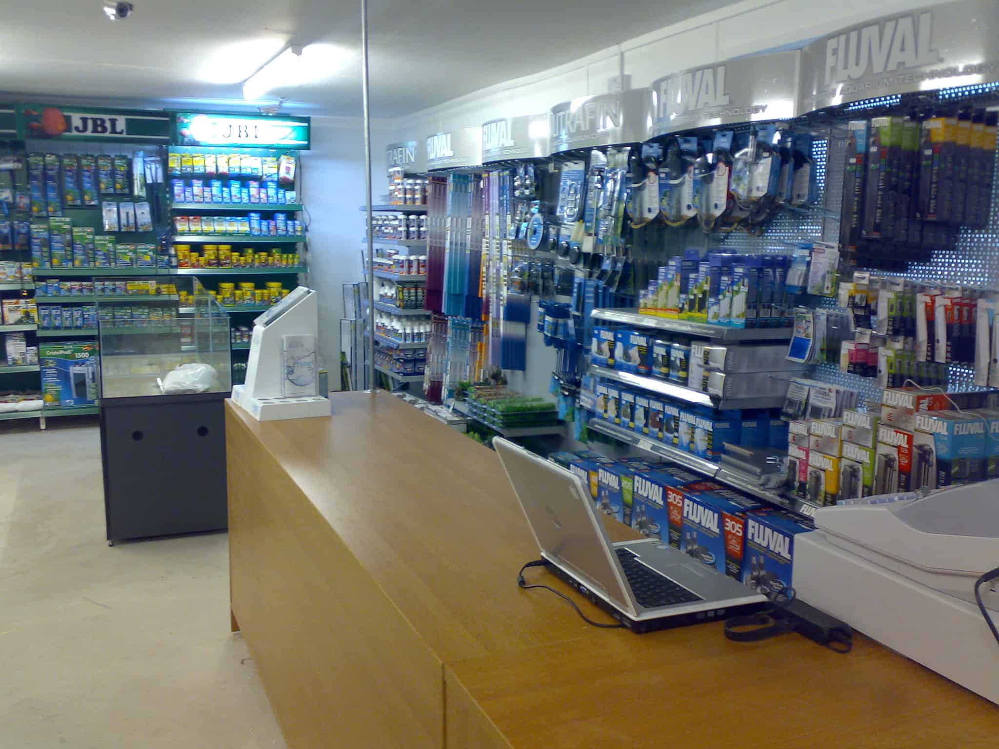 Croydon Maidenhead Aquatics Fish Store Review Tropical Fish Site