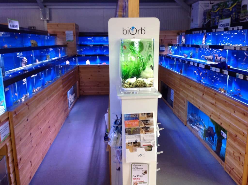 Isle Of Wight Maidenhead Aquatics Fish Store Review Tropical Fish Site