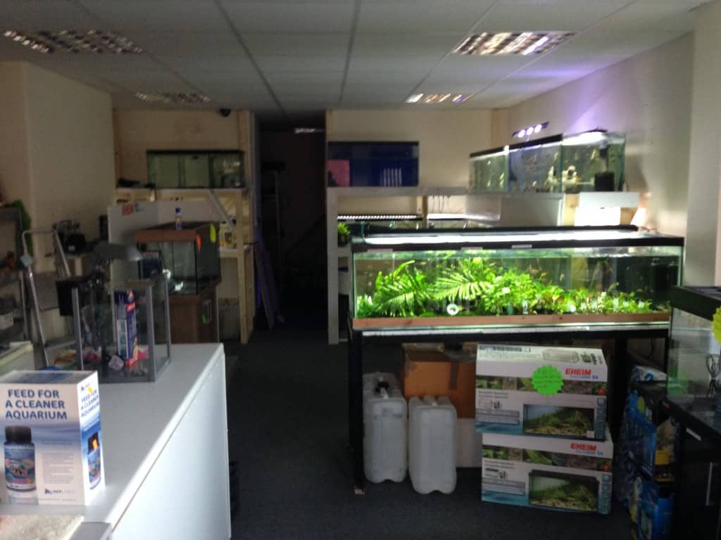 Fishcove Warrington Fish Store Review Tropical Fish Site