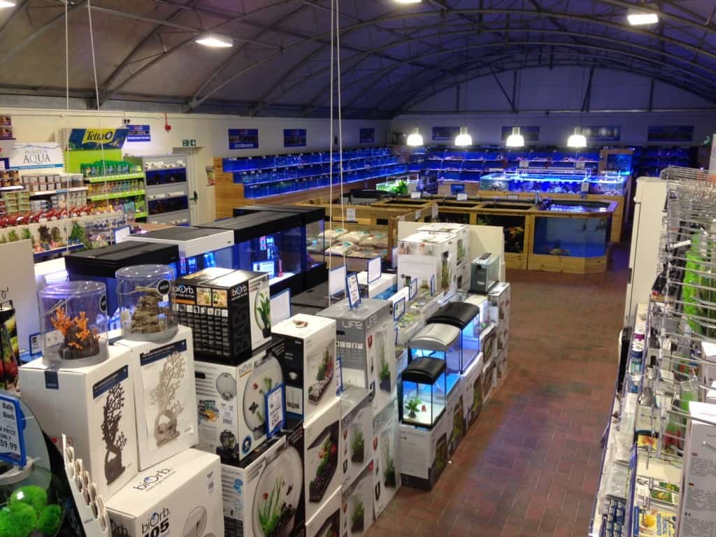 Tropical Fish Store Daytona Beach Fl at Jamie Clem blog