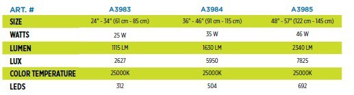 African Cichlids Size Chart