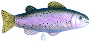 Tropical Fish Site Cranking Things Up