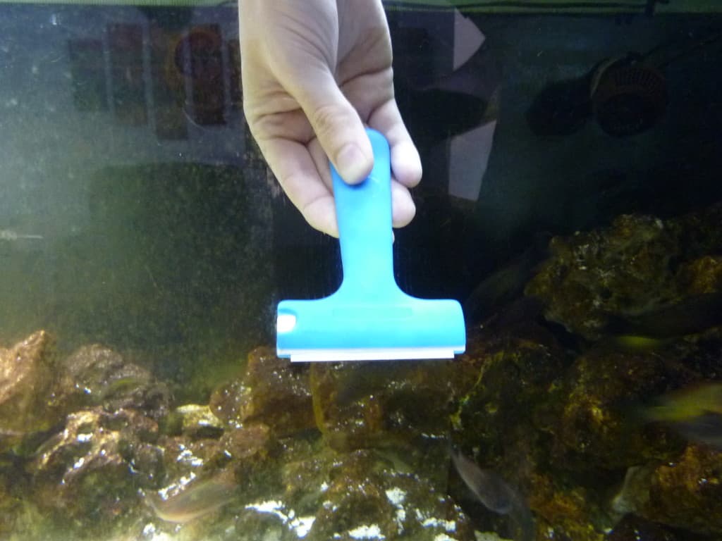 JBL Aqua-T Handy in action
