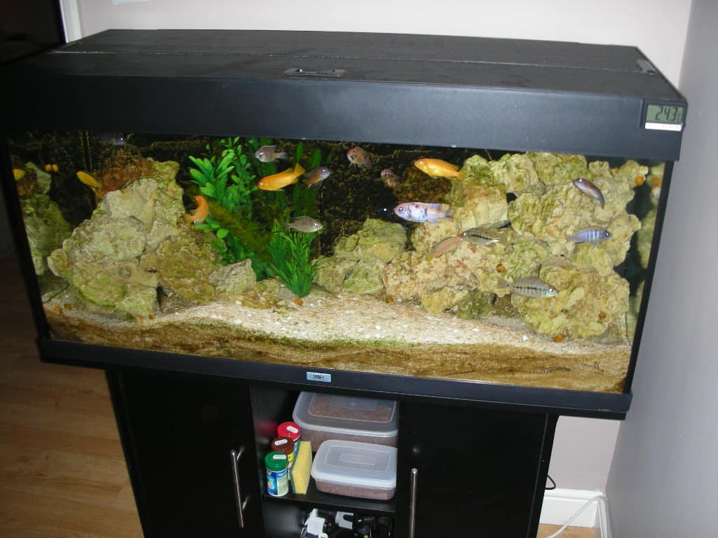 Should You Put A Fish Tank Straight On The Stand Tropical Fish Site
