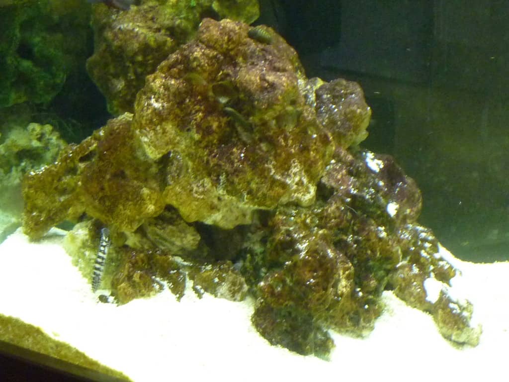 Pile Of Ocean Rock