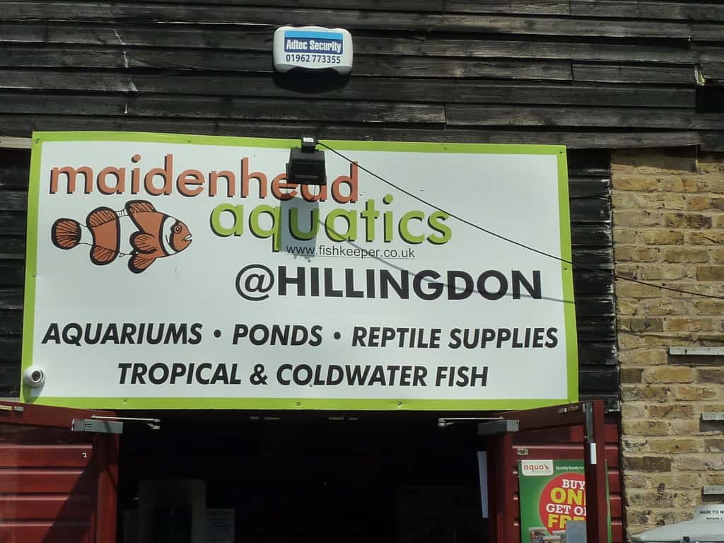 Hillingdon Maidenhead Aquatics Fish Store Review Tropical Fish Site
