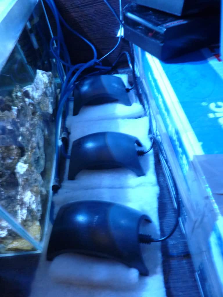 Banco de 3 bombas de aire Tetratec APS 50