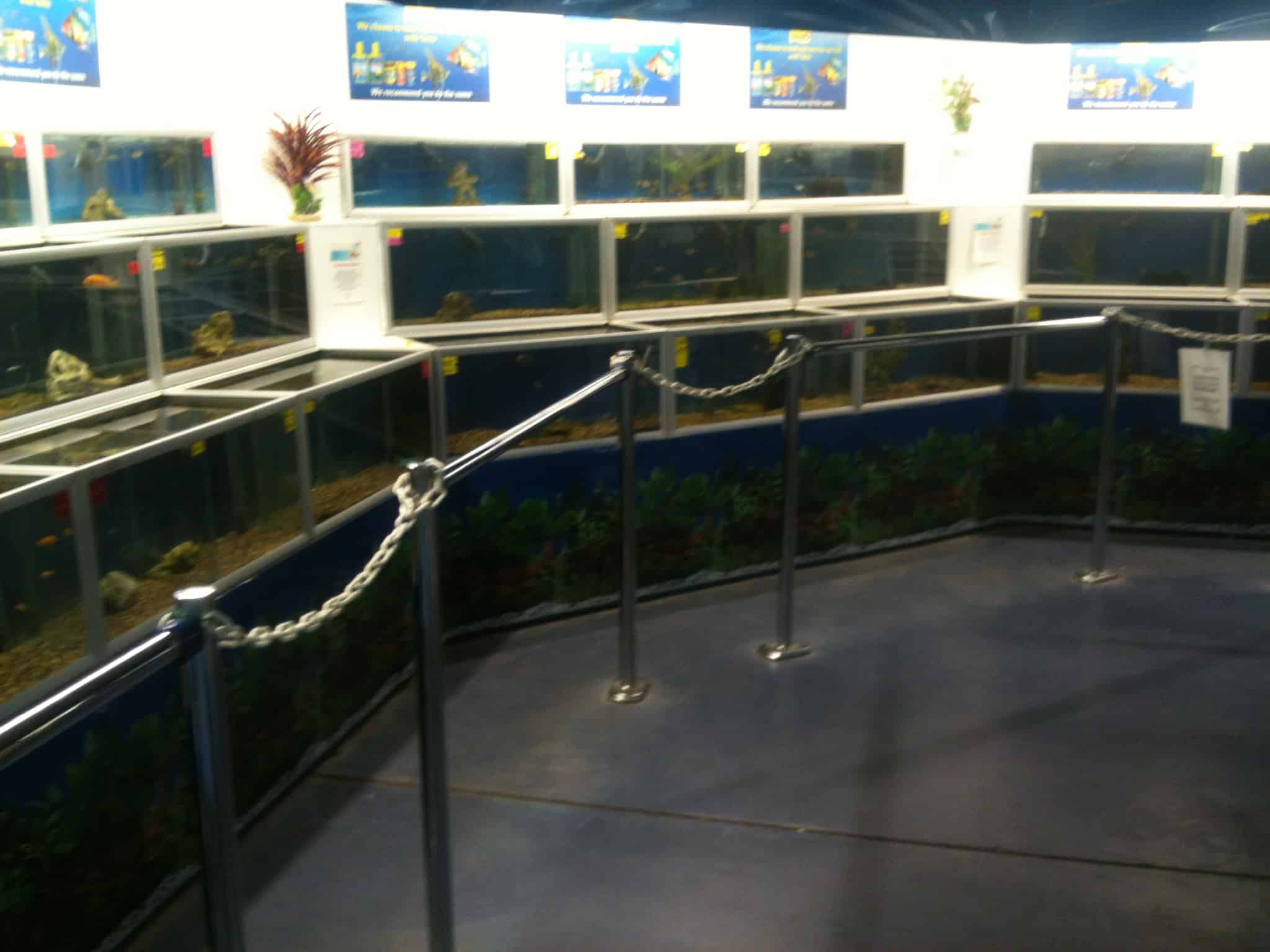 Tong Garden Centre Fish Store Review Tropical Fish Site