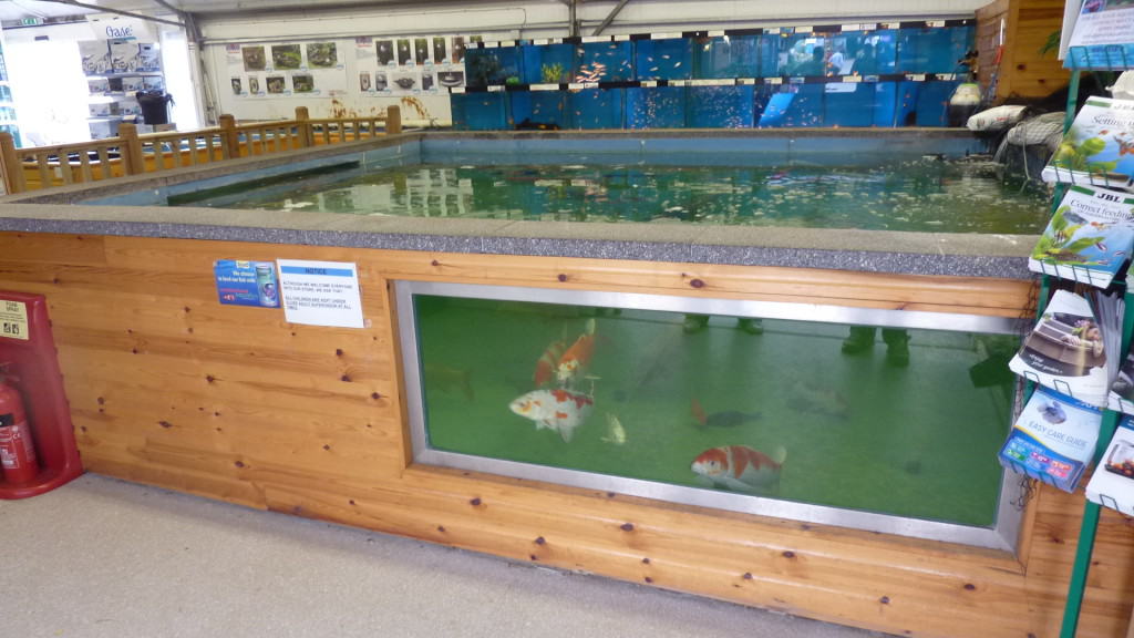 kirkland maintenance cat food feeding guide