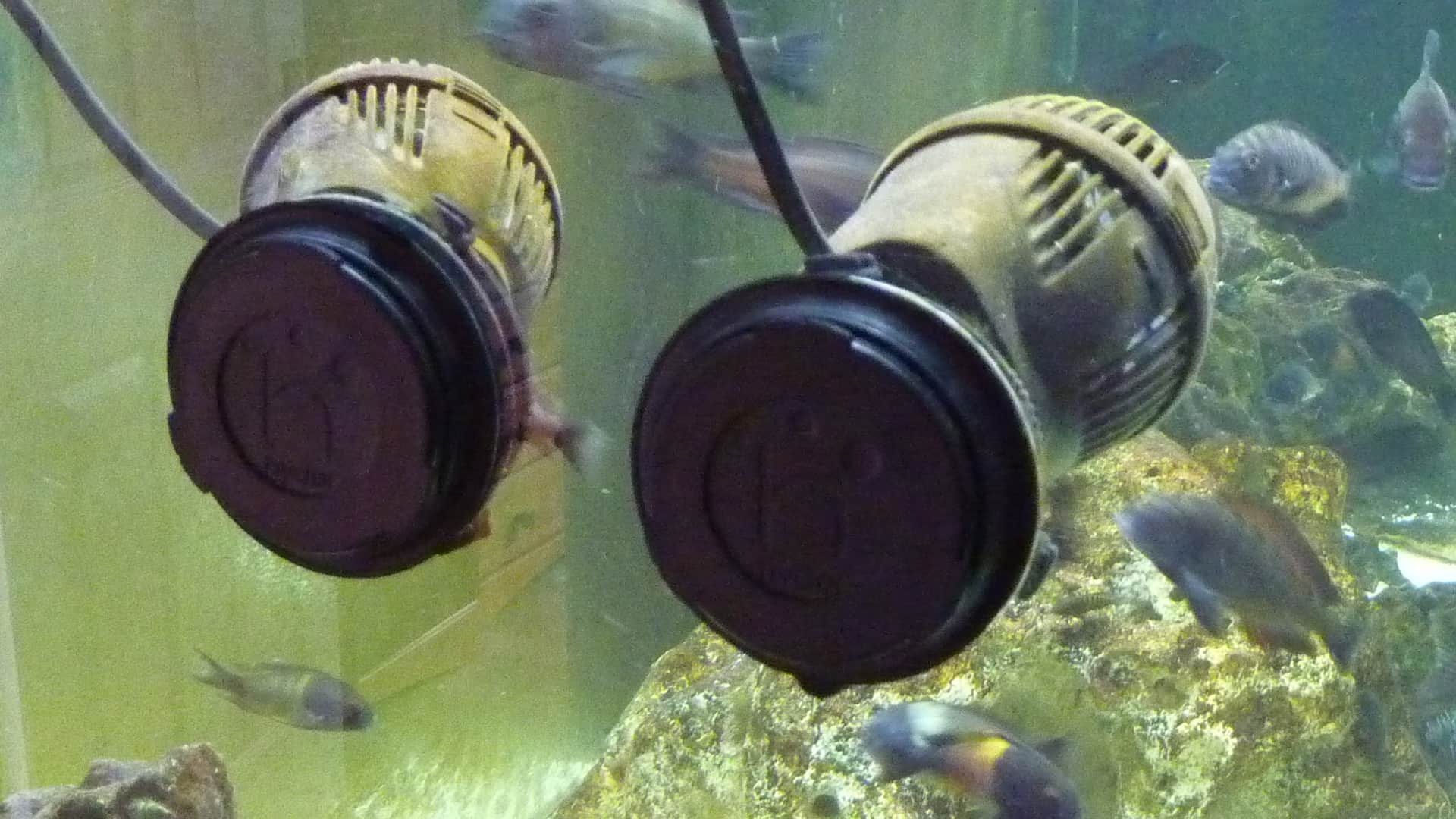 Hydor Koralia Evolution Circulation Wave Pump Powerhead Review