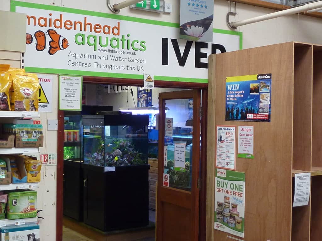 Maidenhead Aquatics Iver