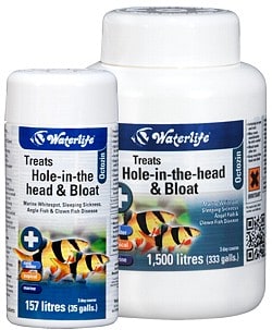 www.tropicalfishsite.com