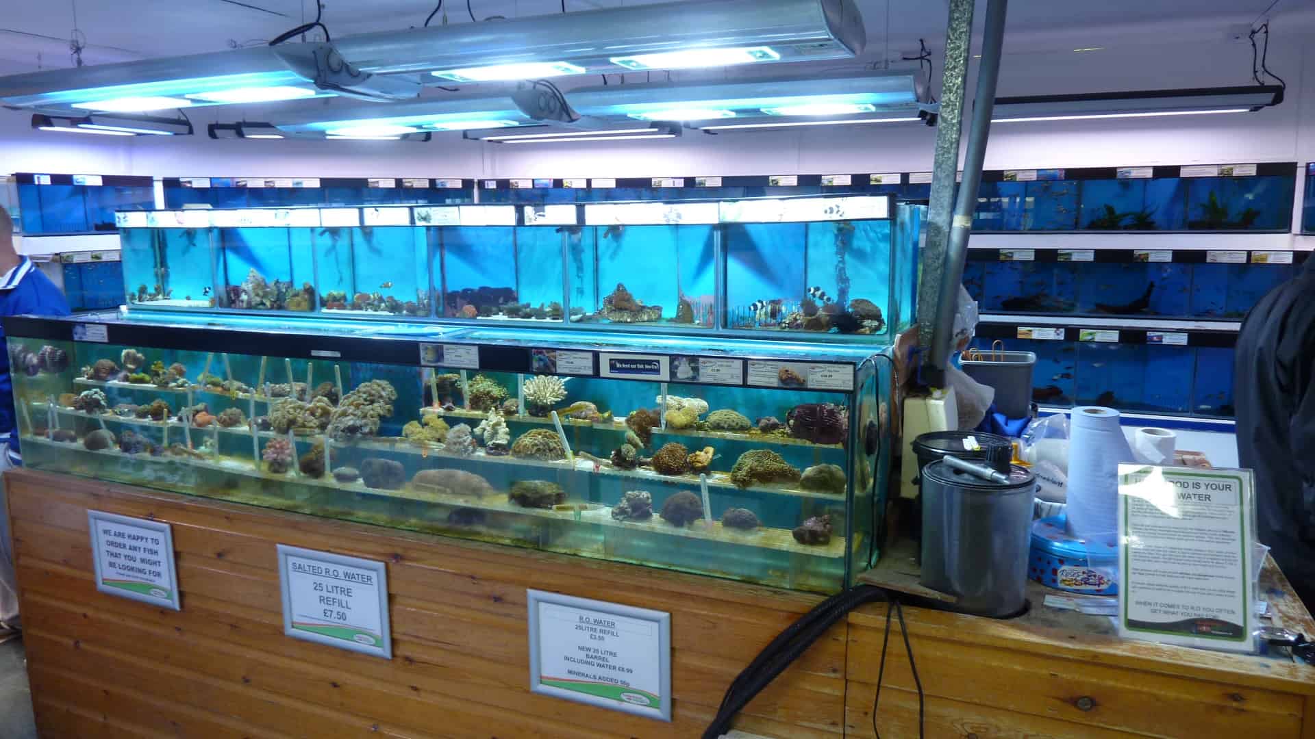 Fish Store Tour of Finatics Aquarium | Cichlid Fish Tank 