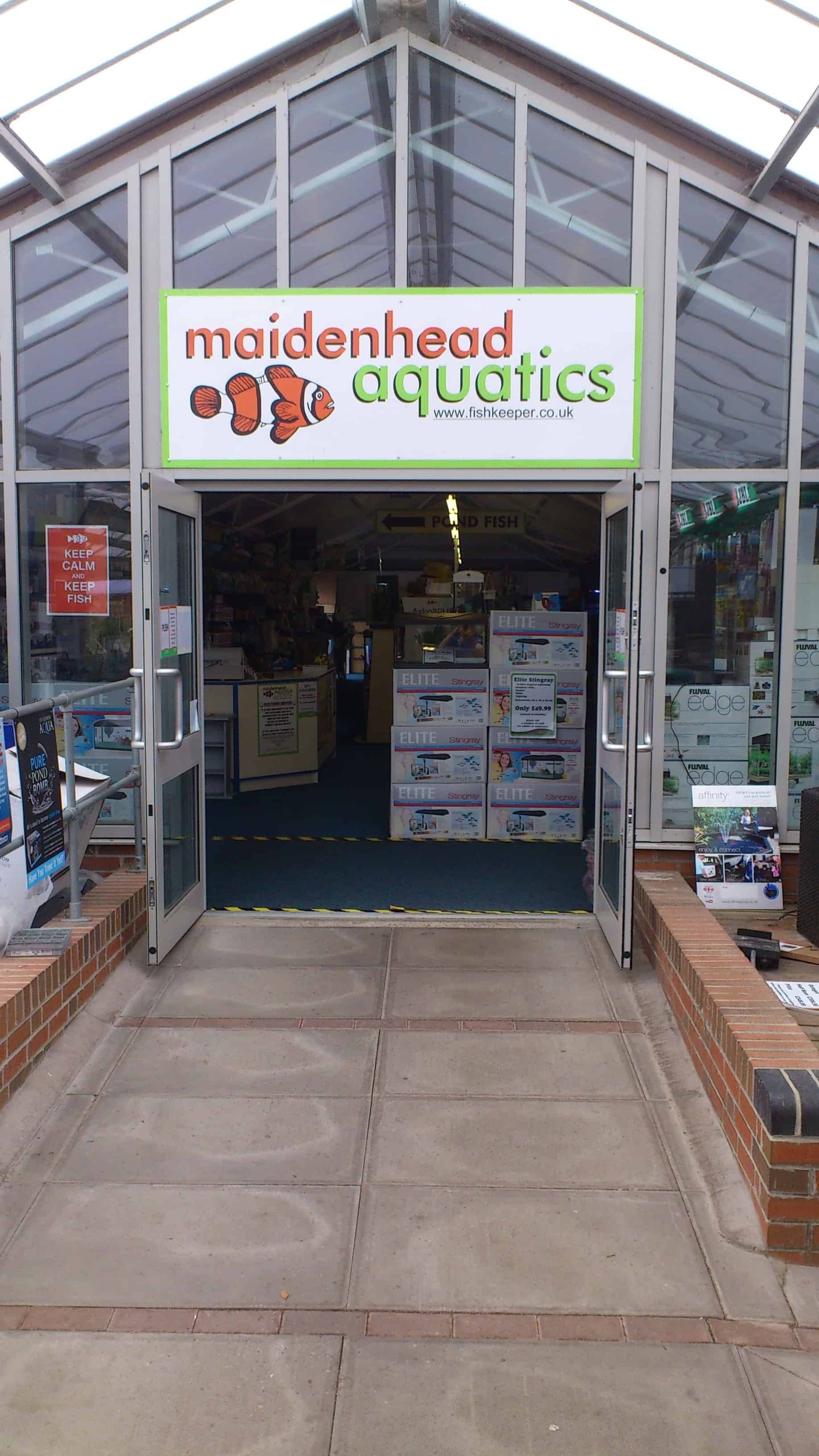 Nottingham Maidenhead Aquatics Fish Store Review Tropical Fish Site