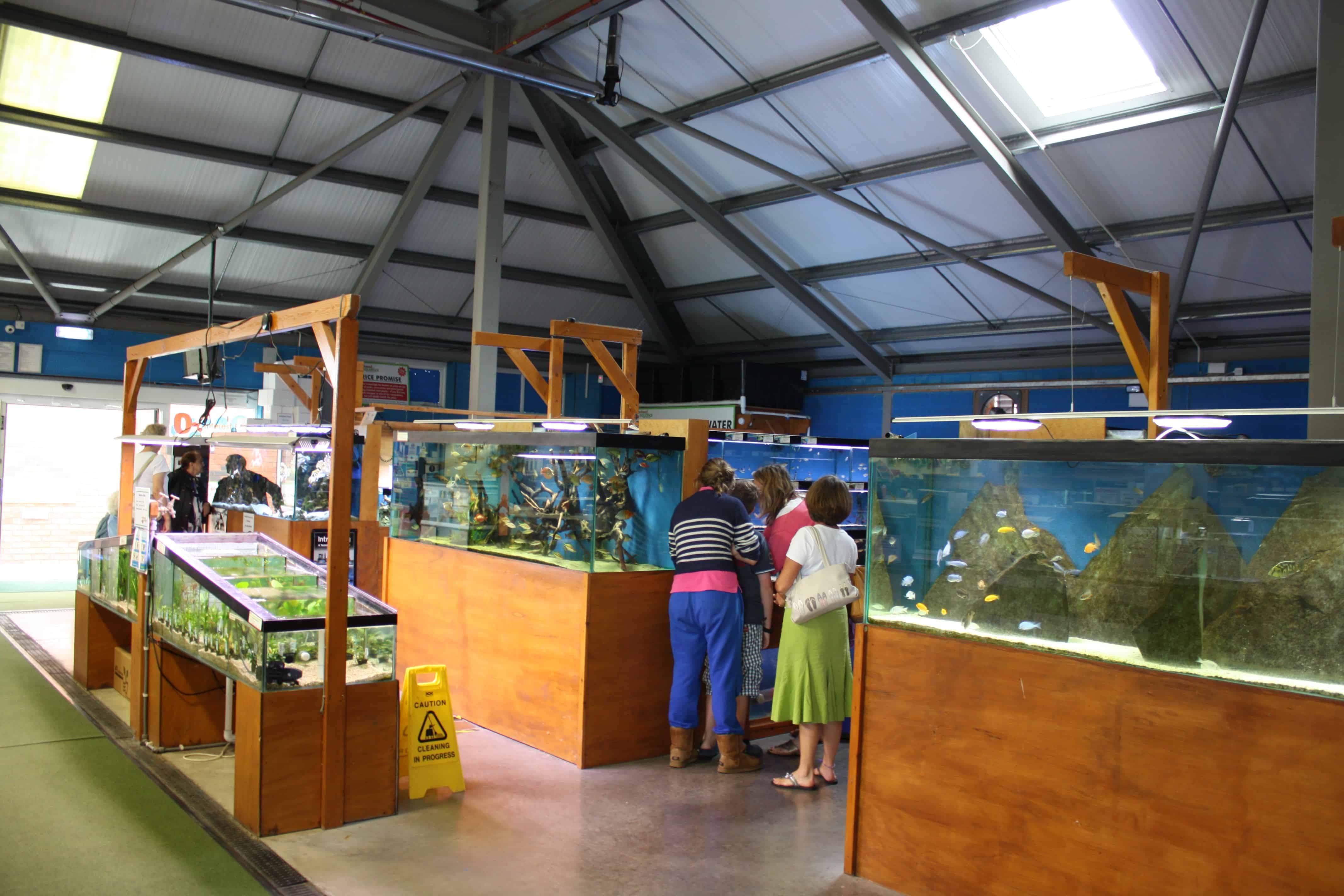 Tropical Fish Store «Fish Finatics», reviews and photos 