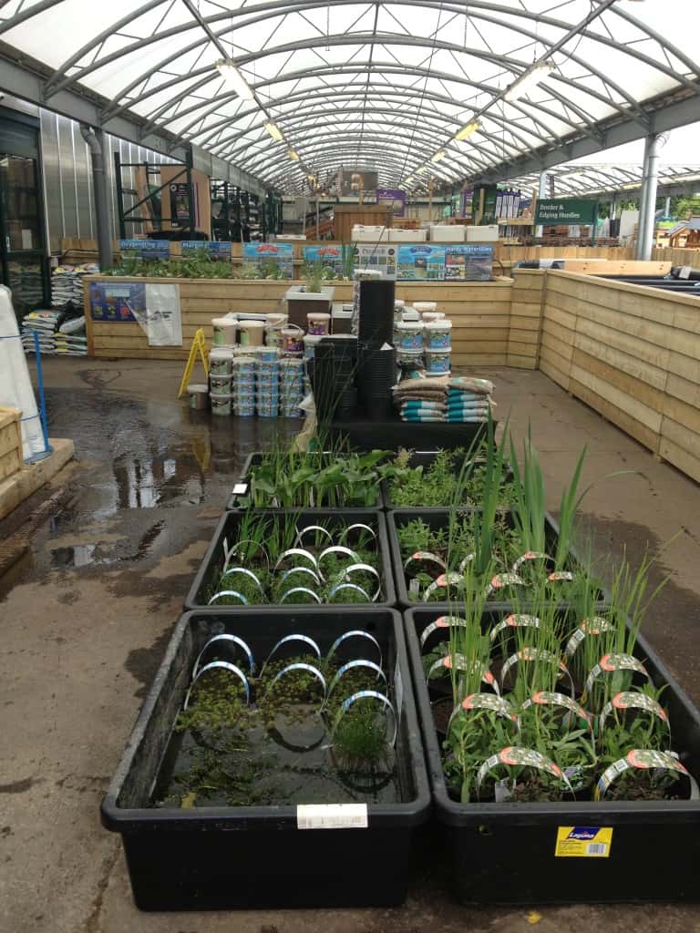 Woodbridge Maidenhead Aquatics Fish Store Review Tropical Fish Site