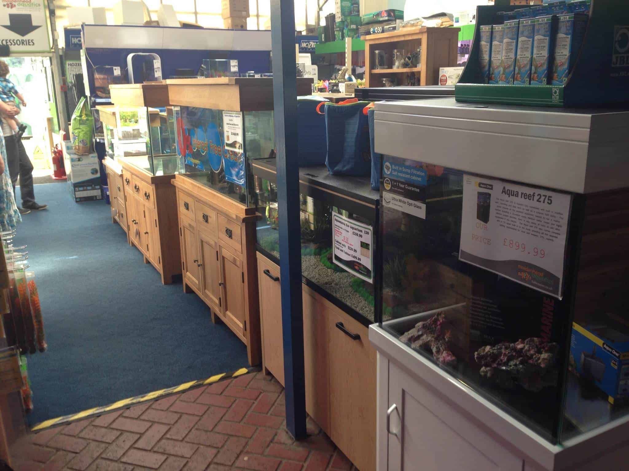 Staines Maidenhead Aquatics Fish Store Review Tropical Fish Site