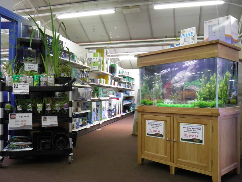 Stockton Maidenhead Aquatics Fish Store Review Tropical Fish Site