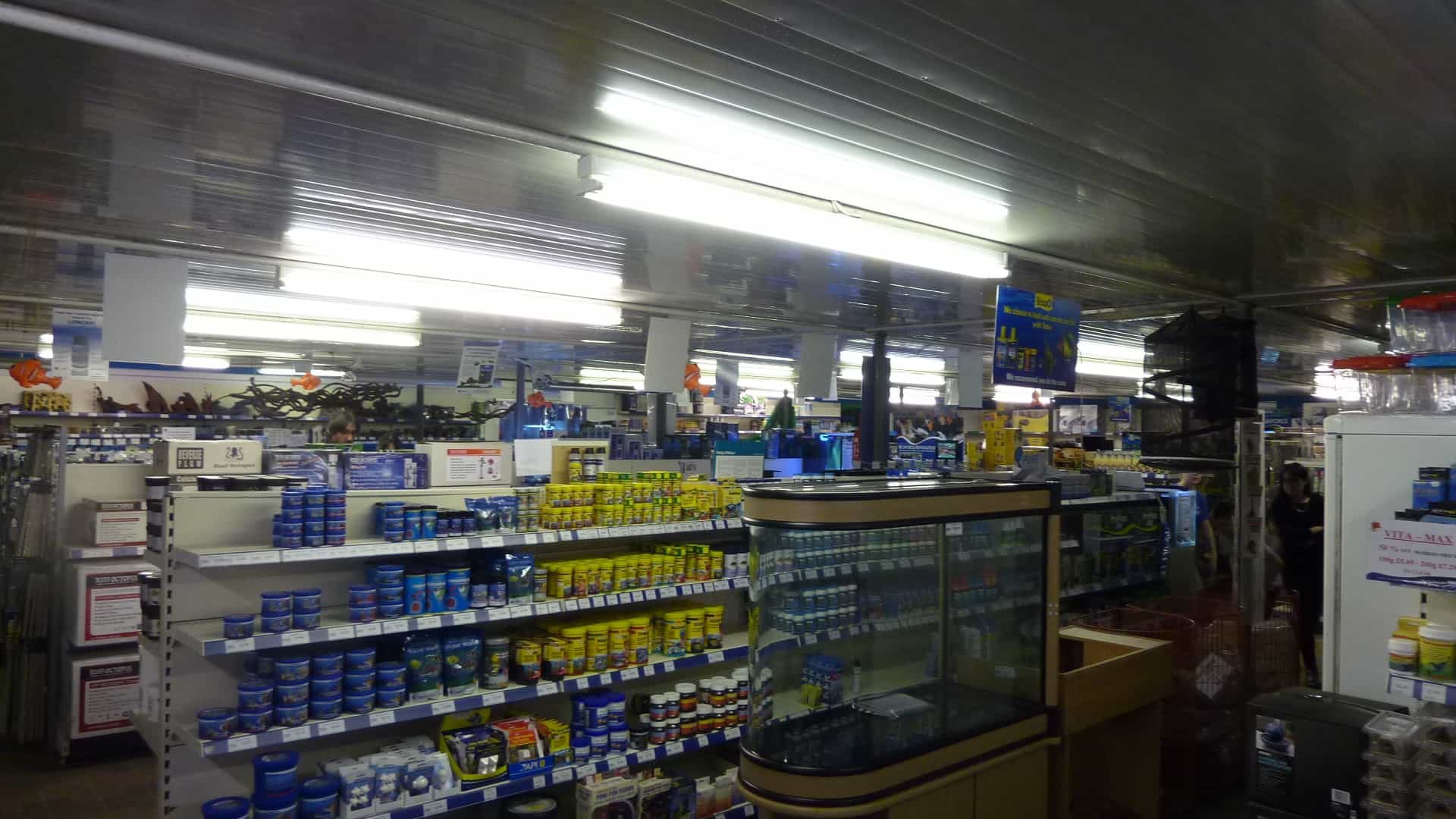 Swallow Aquatics Colchester Fish Store Review Tropical Fish Site