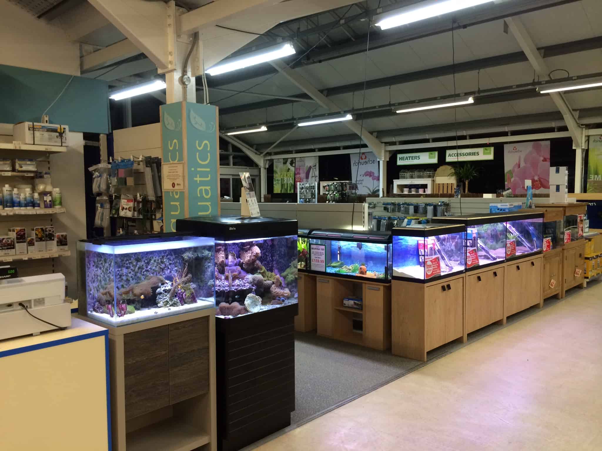 Cheddar Maidenhead Aquatics Fish Store Review Tropical Fish Site