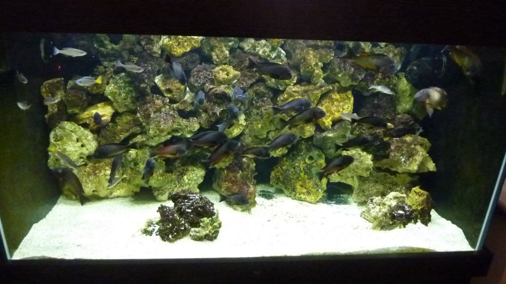 aquarium sand substrate