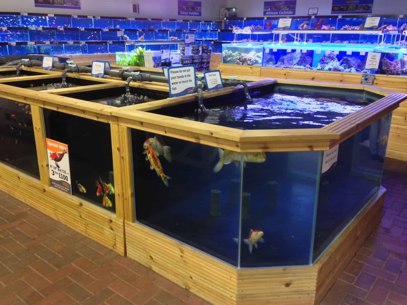Inverness Maidenhead Aquatics Fish Store Review Tropical Fish Site