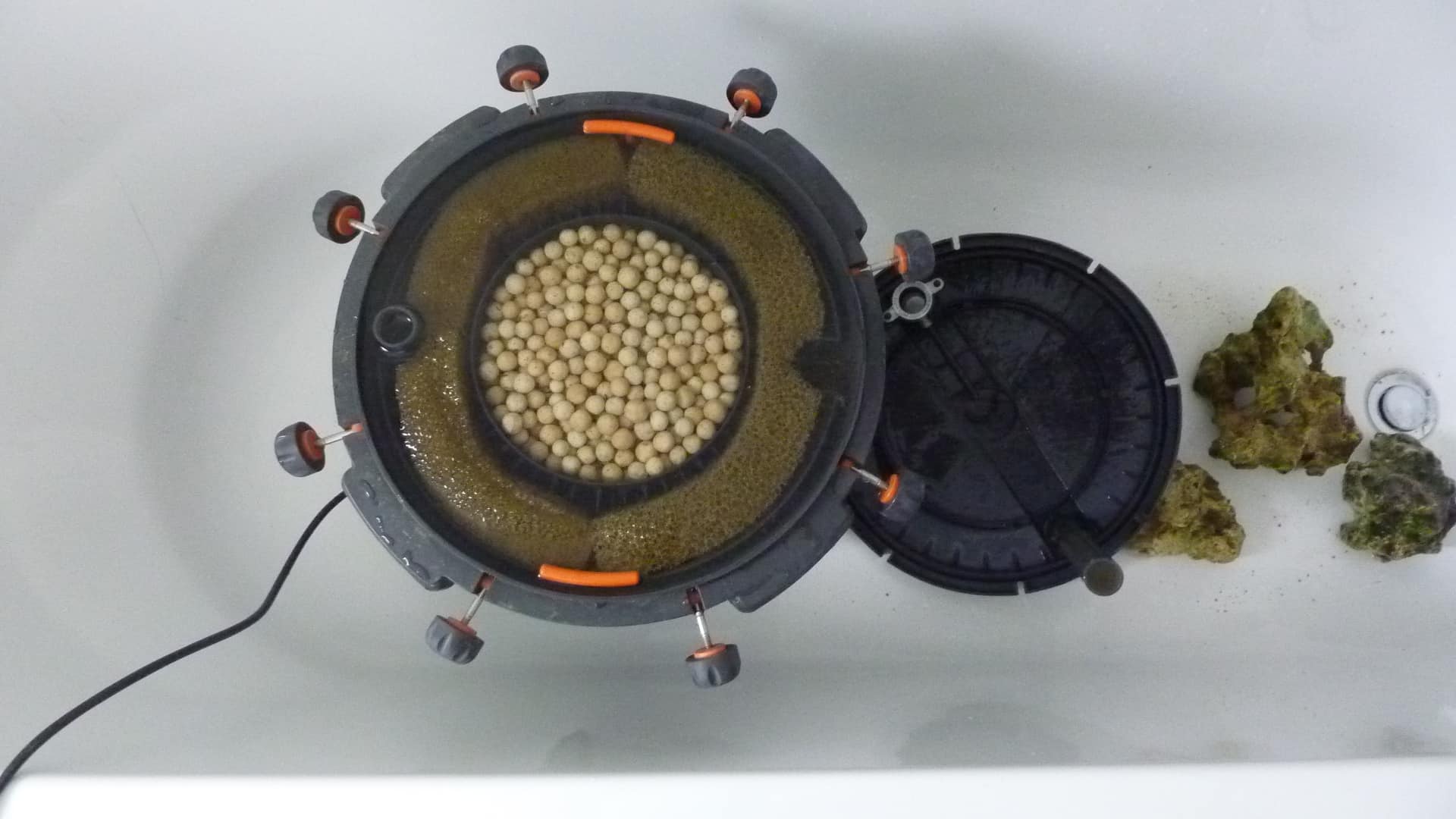 How To Clean Out An External Canister Fish Tank Filter Tropical Fish Site