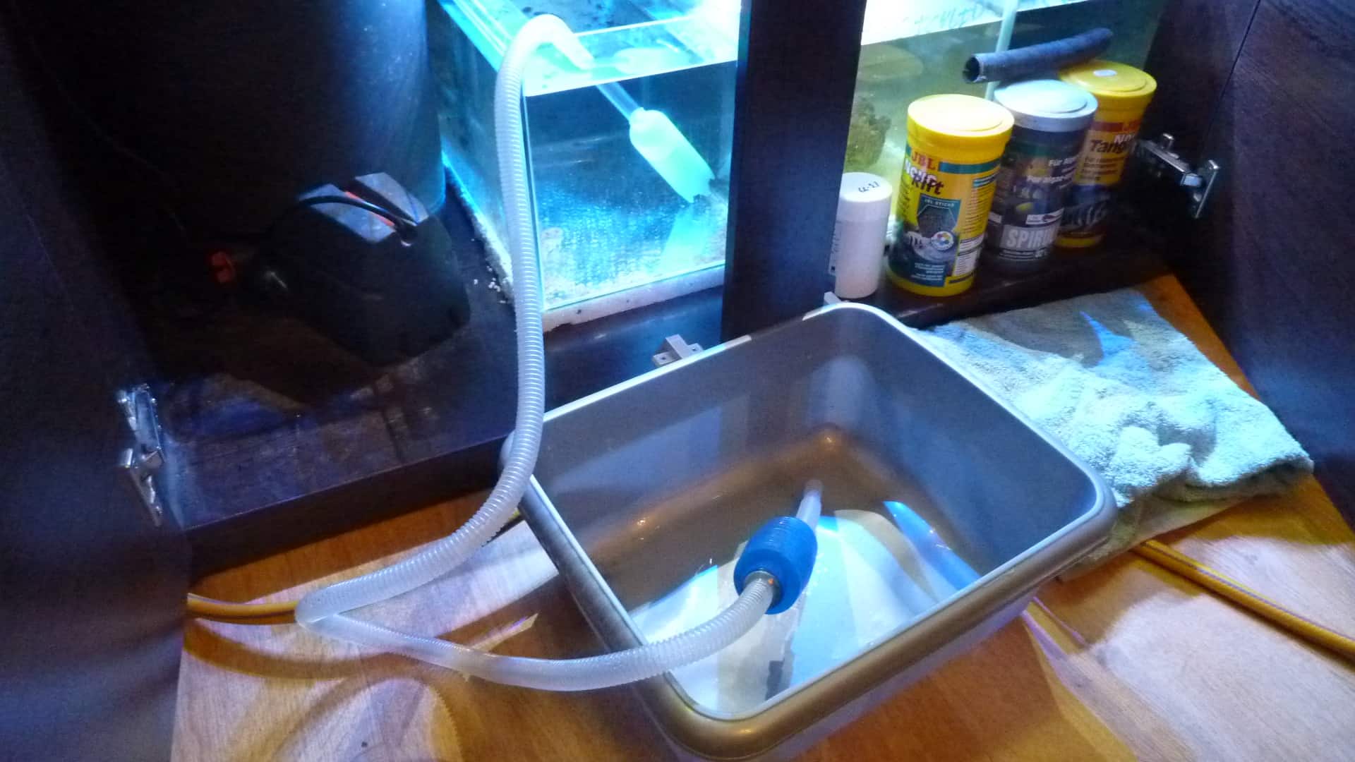 How To Perform A Fish Tank Aquarium Water Change Tropical Fish Site