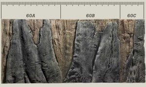 back to nature aquarium backgrounds