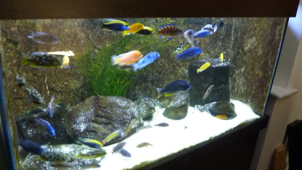 fluval-mar-led-8