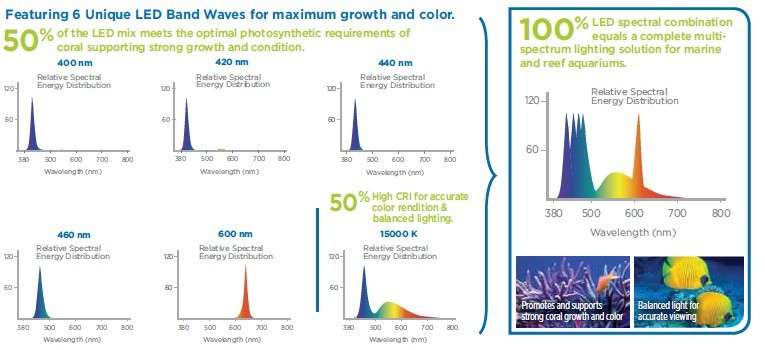 gráfico-de-tipos-de-led-mar-fluval