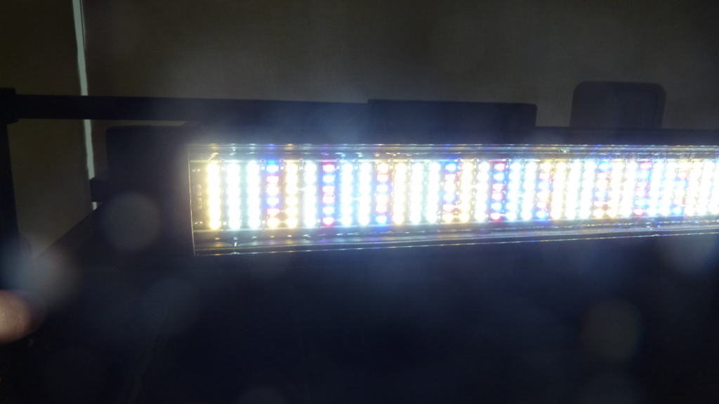 hagen-fluval-led-plant-aqualife-leds