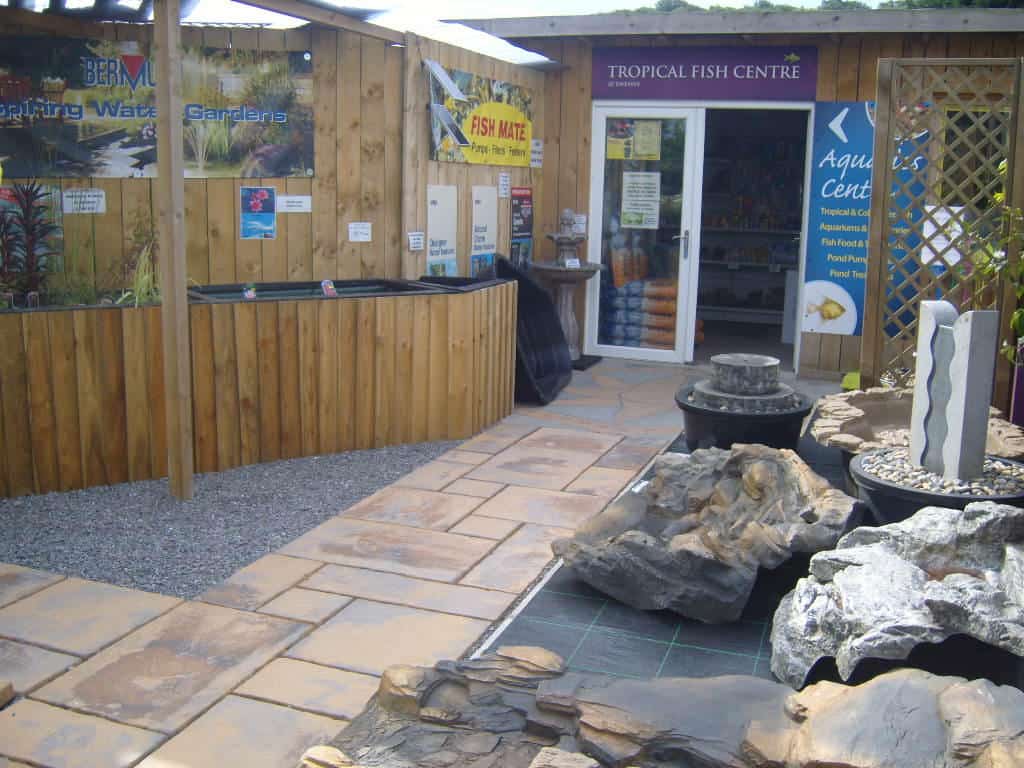 The Dukeries Maidenhead Aquatics Fish Store Review Tropical Fish Site