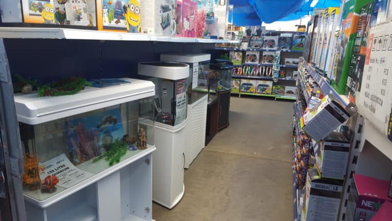 online saltwater fish store online saltwater fish store