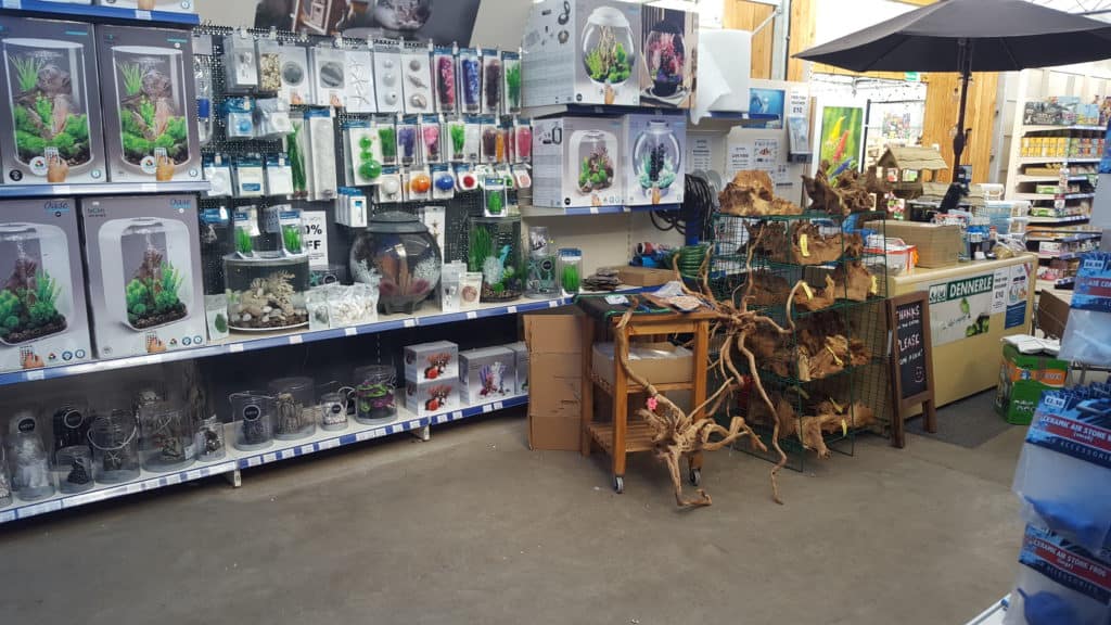 Real Aquatics Fish Store Review Tropical Fish Site